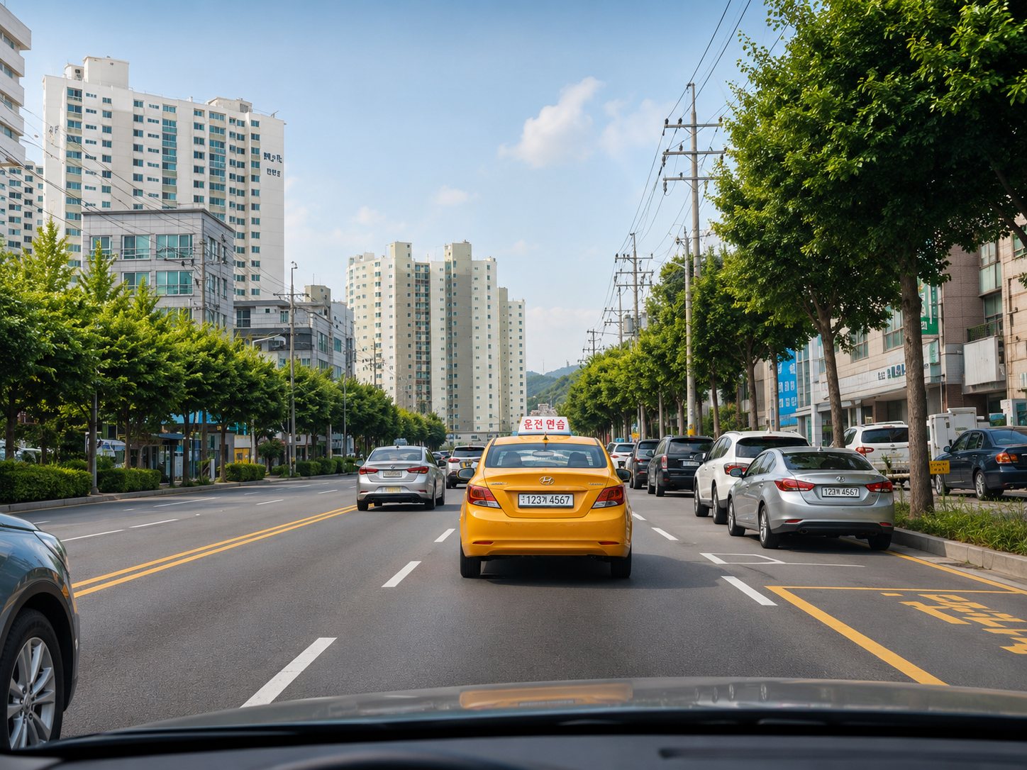 English-supported driving practice for a foreigner near Seoul